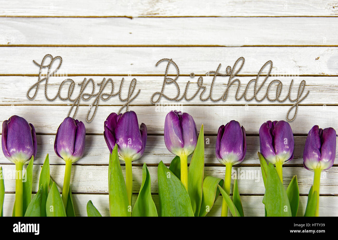 alles Gute zum Geburtstag Nachricht im SeilDesign mit lila Tulpen auf
