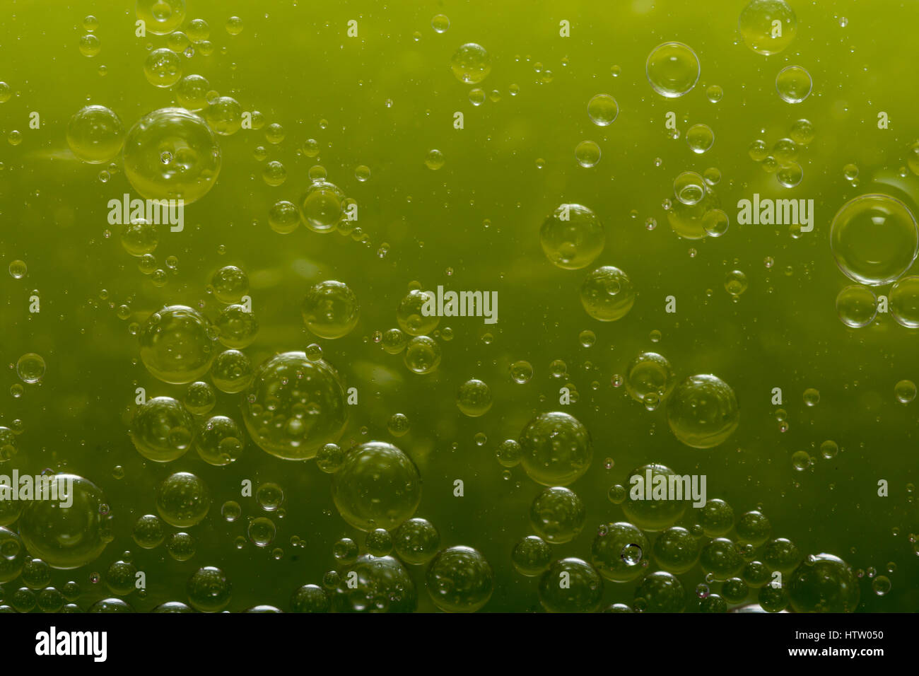 Welt der Luftblasen - grün Stockfoto