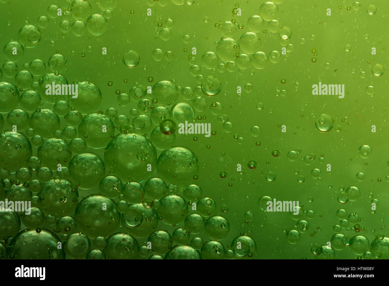 Welt der Luftblasen - grün Stockfoto