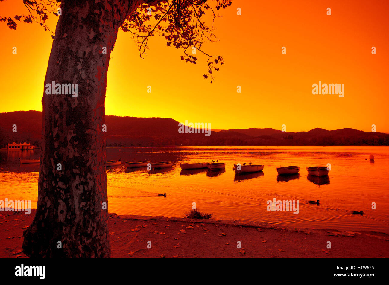See von Banyoles, Girona, Katalonien, Spanien Stockfoto