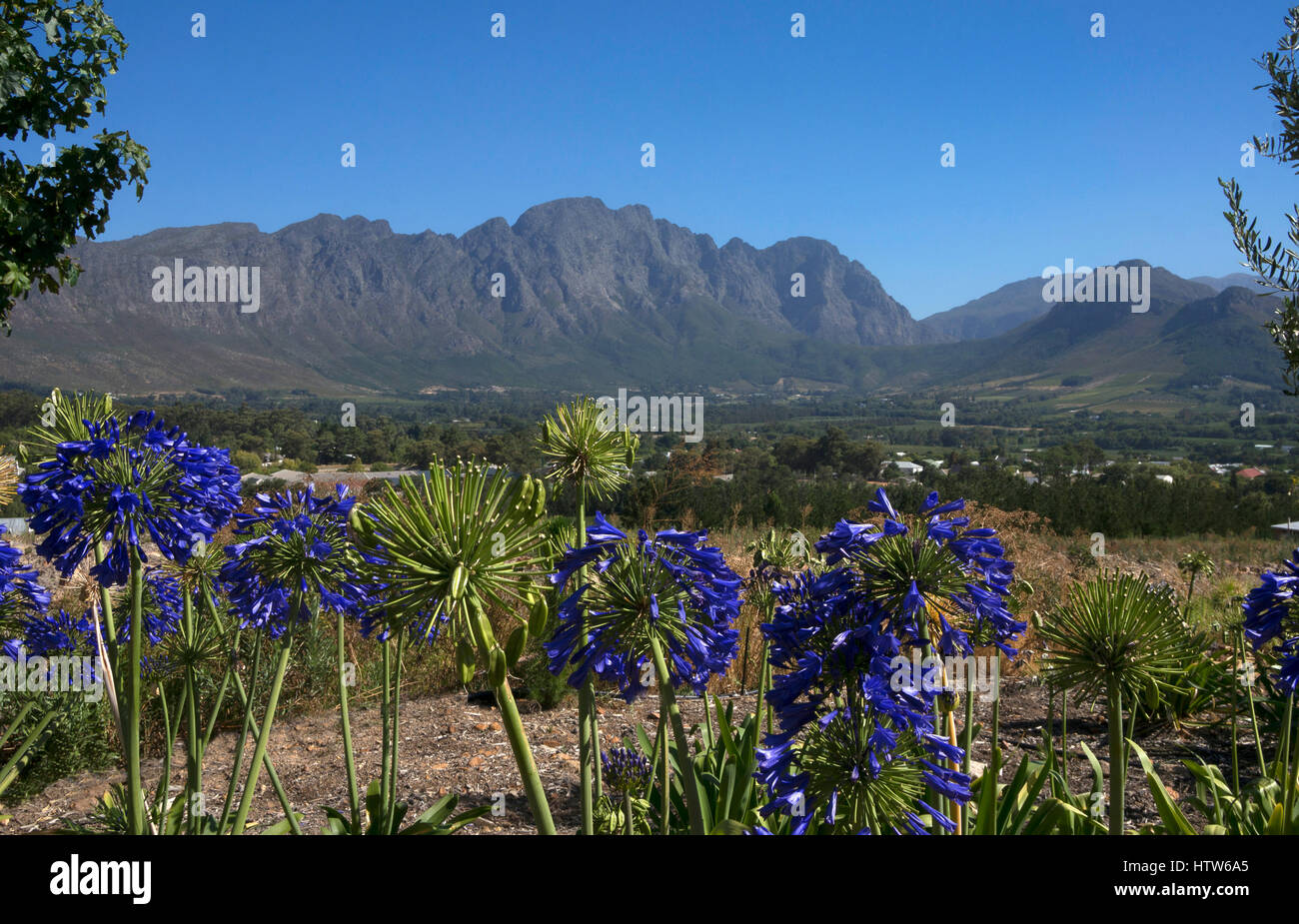 Franschhoek, Weinregion, Western Cape, Südafrika Stockfoto