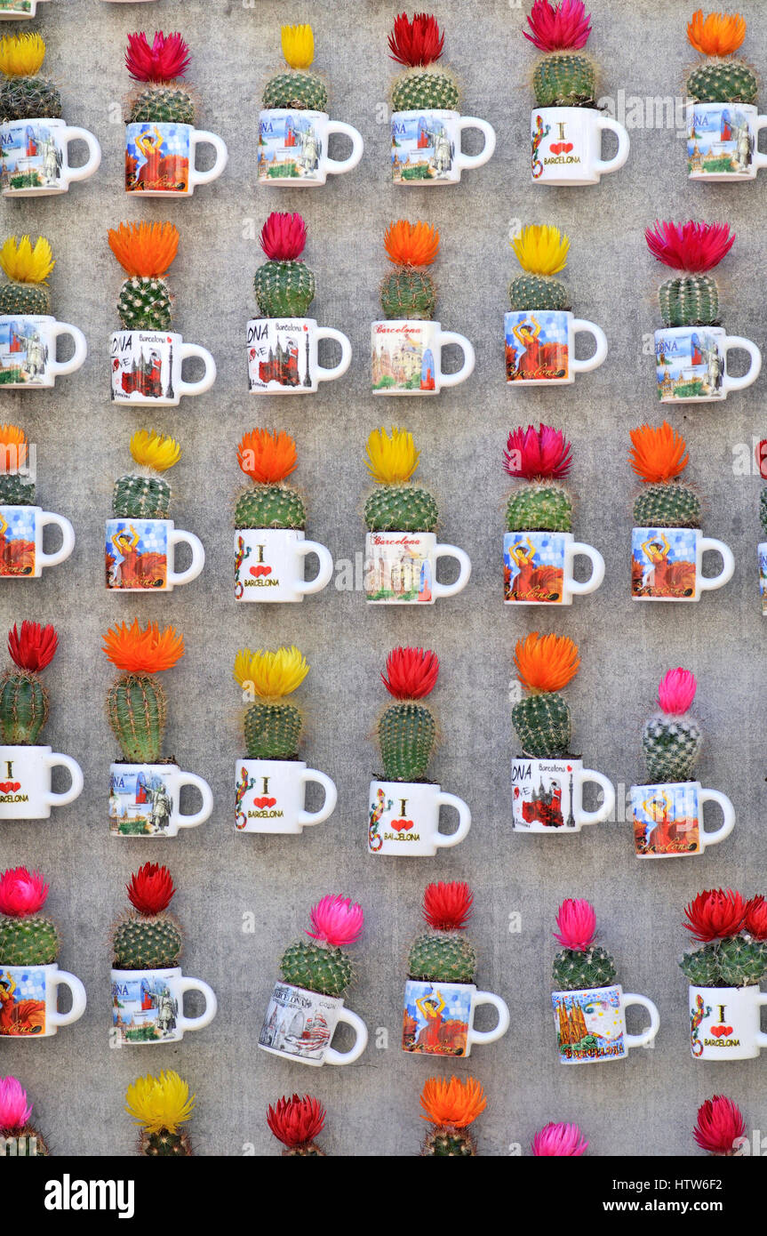 Kaktus als souvenir Stockfoto