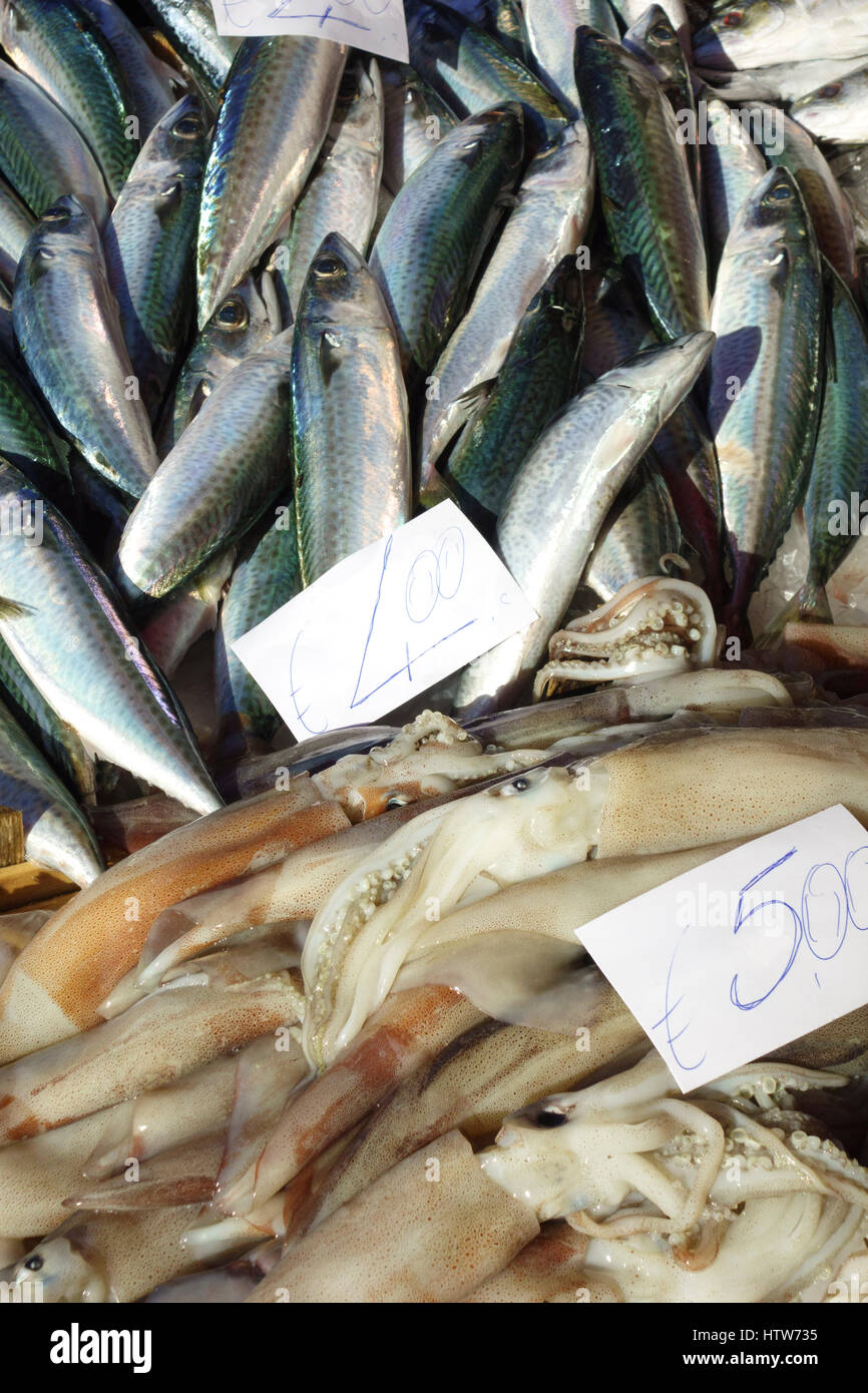 Tintenfisch, Tintenfisch, Calamari zum Verkauf auf dem Fischmarkt, Catania, Sizilien Stockfoto