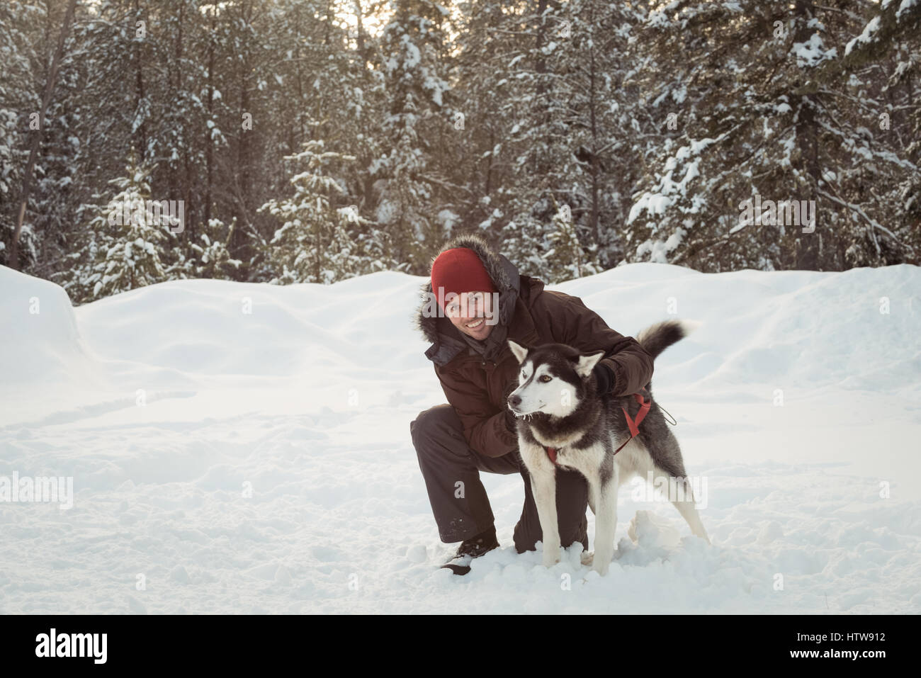 Mann, die Sibirische Hund streicheln Stockfoto