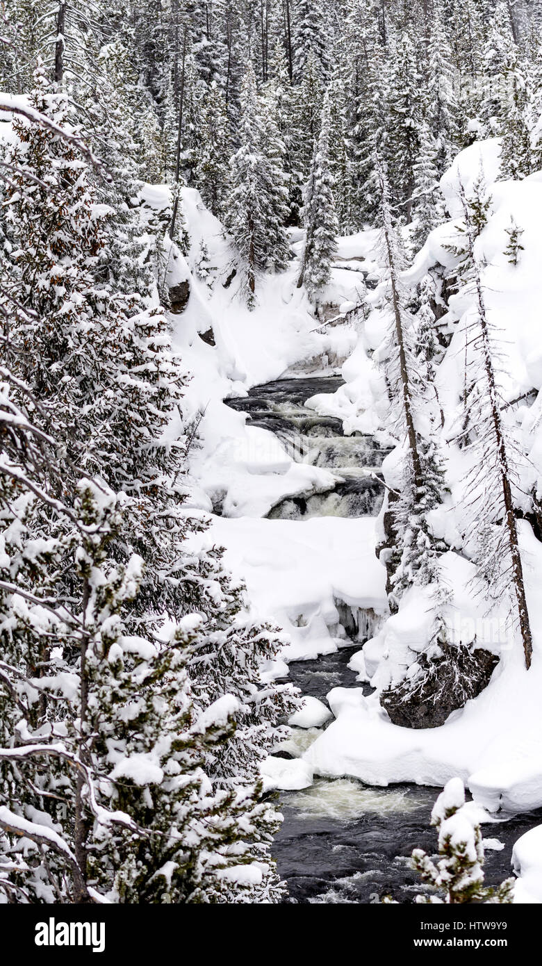 Schöne Winterlandschaft im Yellowstone-Nationalpark, Wyoming, USA. Stockfoto