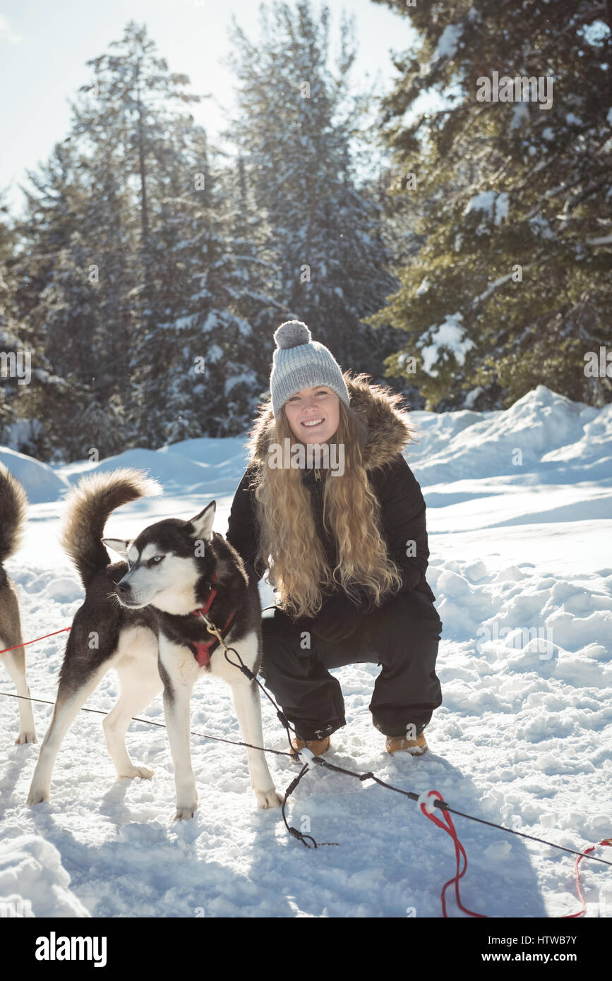 Frau sibirischer Hund streicheln Stockfoto