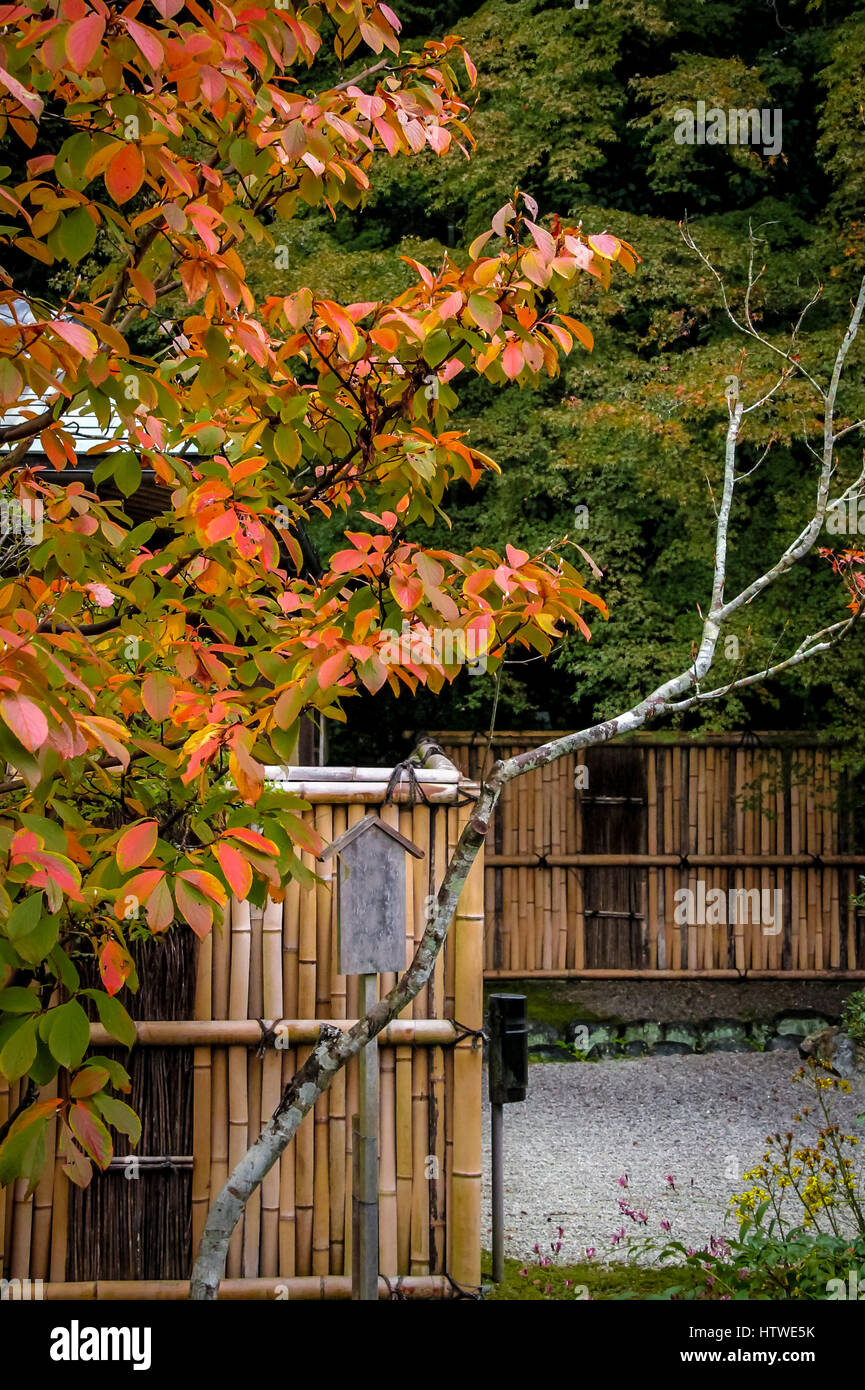 Herbst herbst in kyoto Fotos und Bildmaterial in hoher Auflösung Alamy