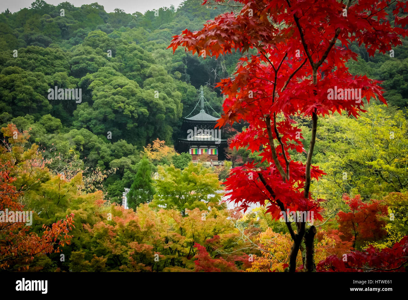Eikando-Pagode und Herbst Laub - Kyoto, Japan. Stockfoto