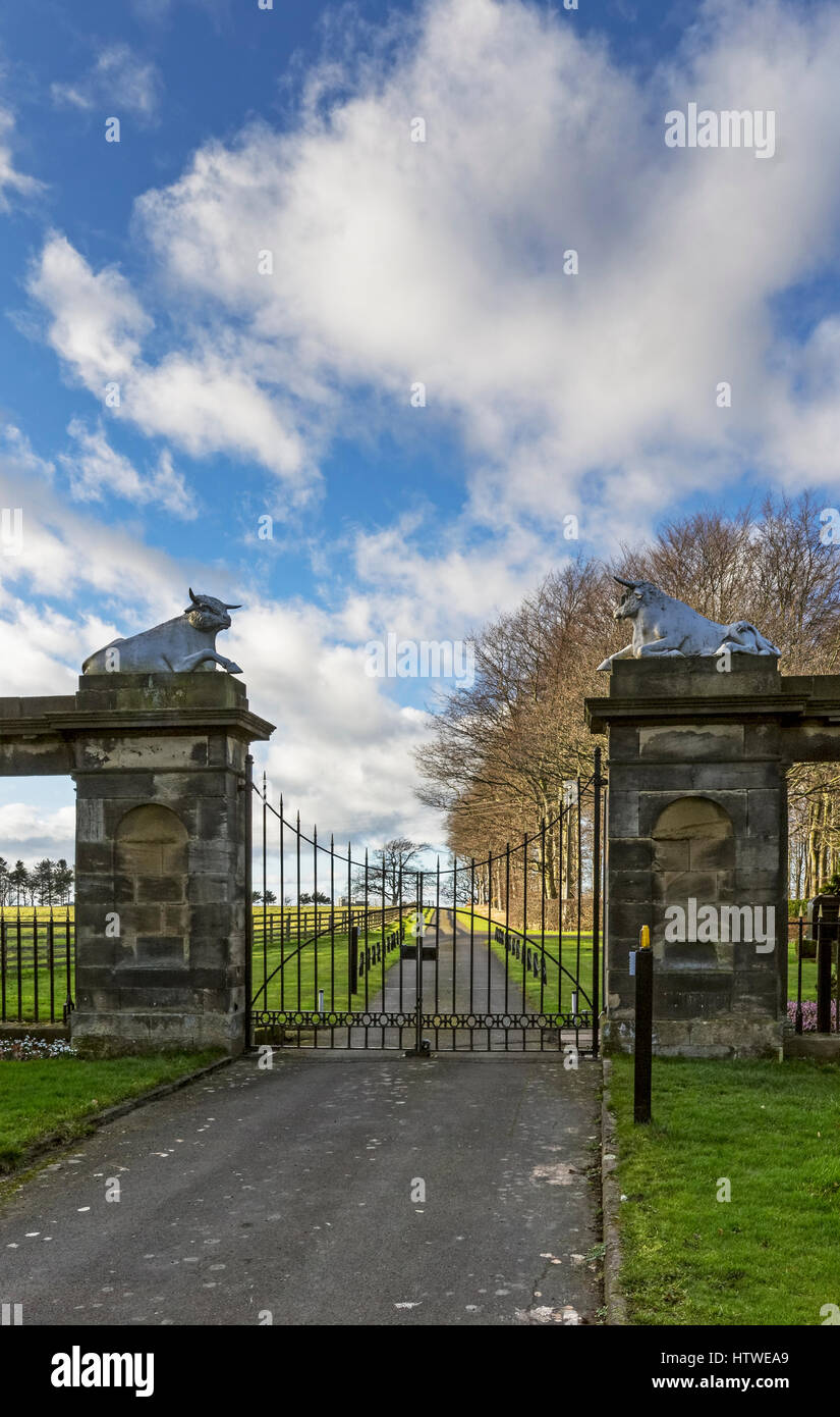 Eingang Süd, Blagdon Hall, Northumberland, Heimat der Vicount Ridley Stockfoto