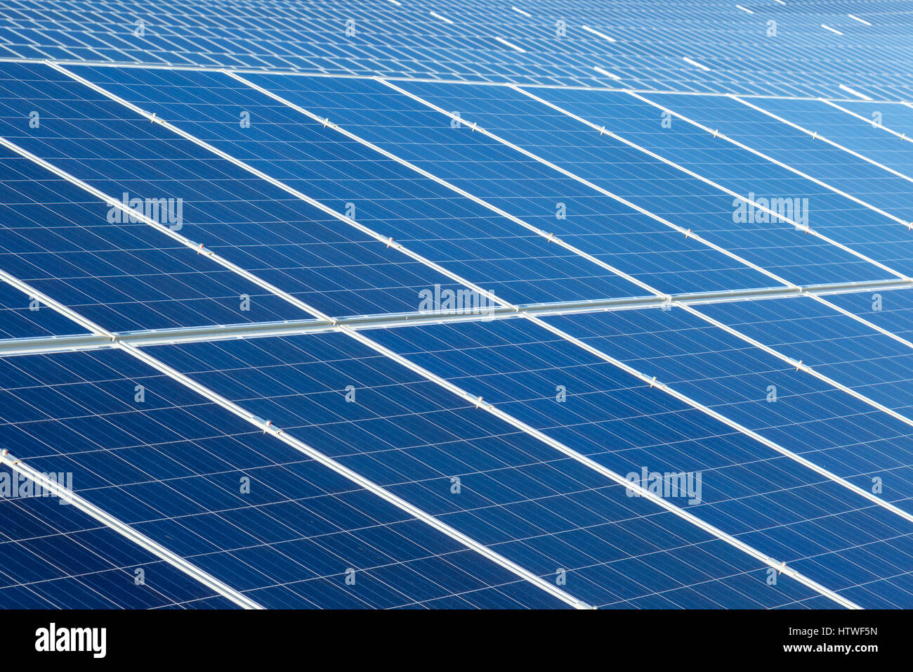 5W 12V Solarpanel - Kompaktes Solarmodul Für Outdoor & Garten