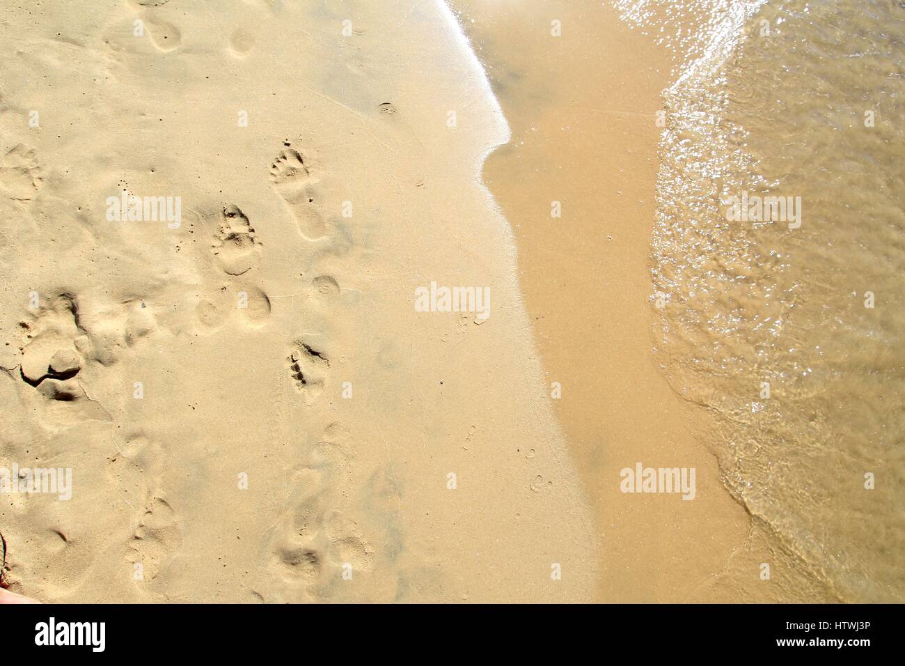 Fußabdrücke auf einem sandigen Strand entfernt mit der Sonne reflektiert in den Wellen am Meer gewaschen Stockfoto