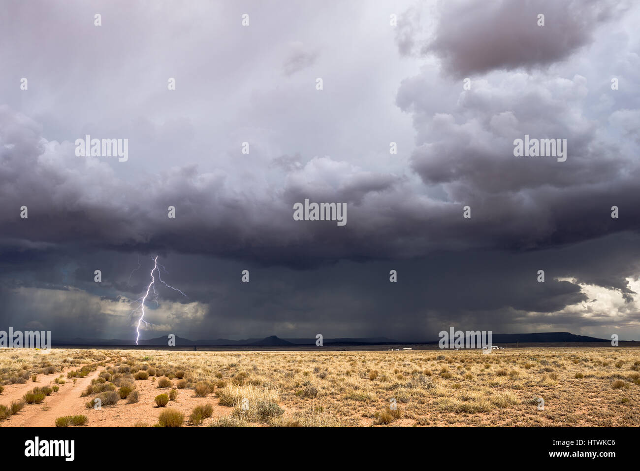 Gewitterblitz in der Wüste Stockfoto