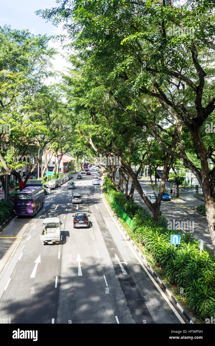 Von Bäumen gesäumten zweispurigen Beach Road Singapur. Stockfoto