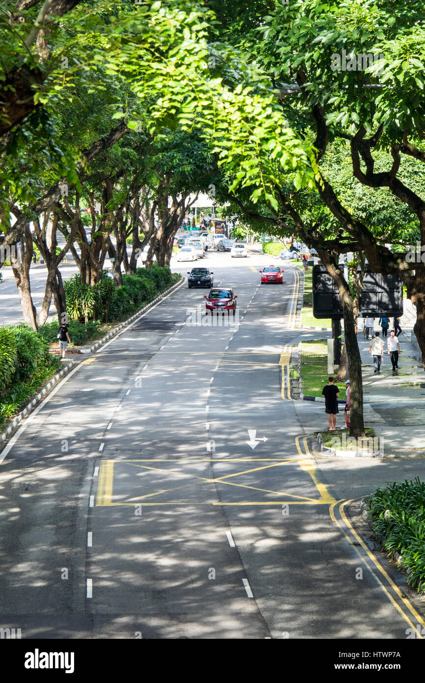 Von Bäumen gesäumten zweispurigen Beach Road Singapur. Stockfoto