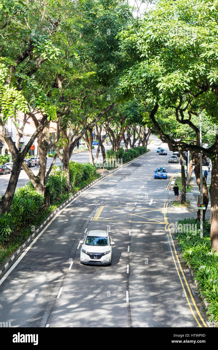 Von Bäumen gesäumten zweispurigen Beach Road Singapur. Stockfoto
