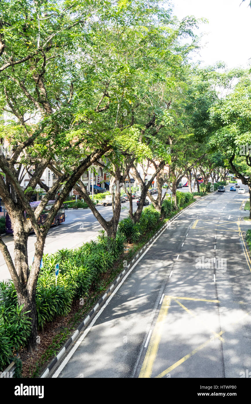 Von Bäumen gesäumten zweispurigen Beach Road Singapur. Stockfoto