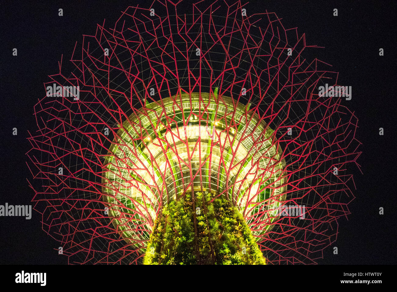 Eine baumartige Struktur namens ein Supertree ist ein vertikaler Garten beleuchtet in der Nacht, befindet sich in Gärten durch die Bucht, Marina Bay, Singapur. Stockfoto