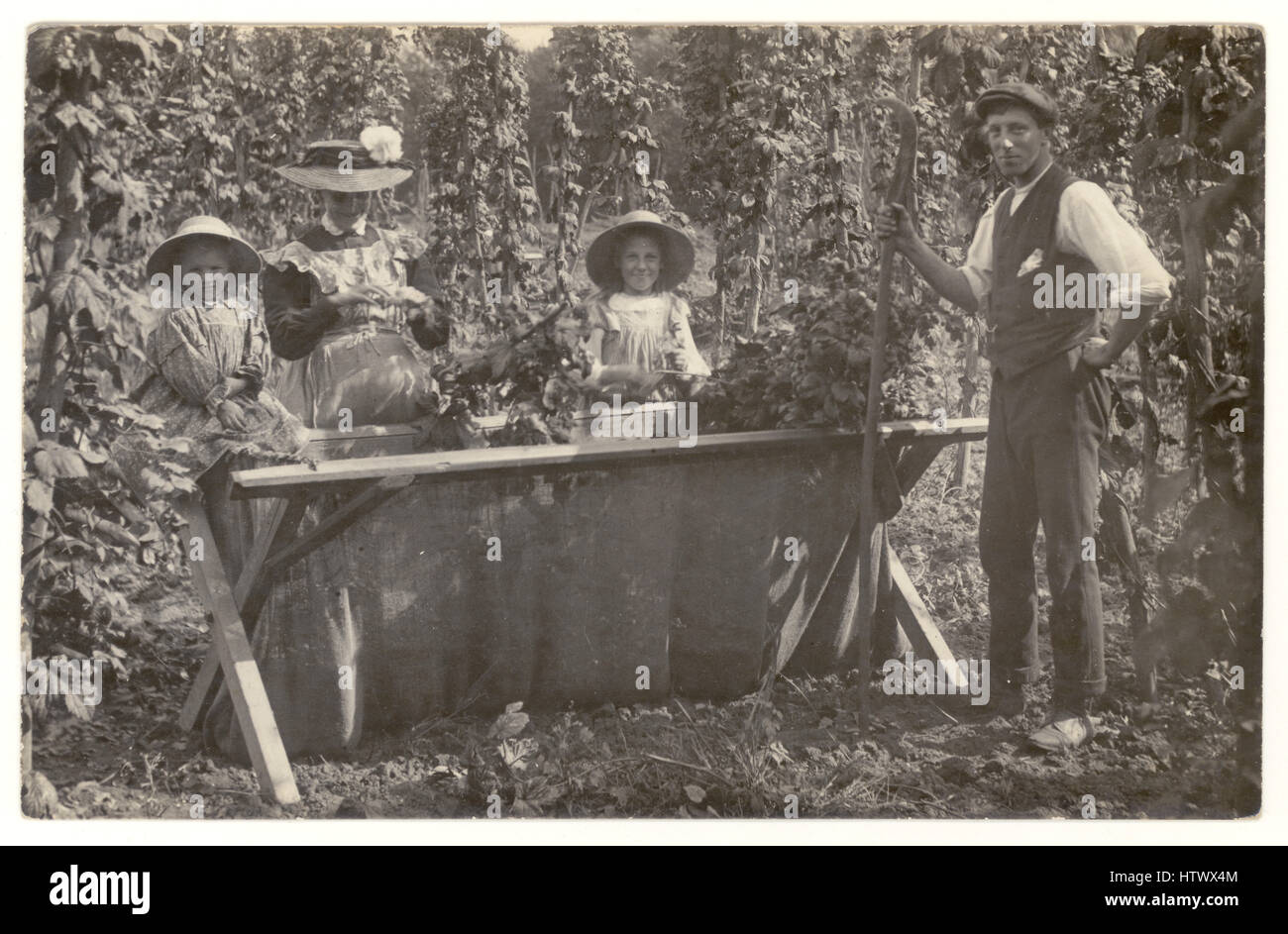 Original-Postkarte aus den 1900er Jahren von Edwardian, in der Familie sich auf einem Arbeitsurlaub mit Hopfenpickel amüsiert, neben einem Hopfenbehälter posiert, viktorianische Hopfenpicker, Großbritannien um 1905 Stockfoto