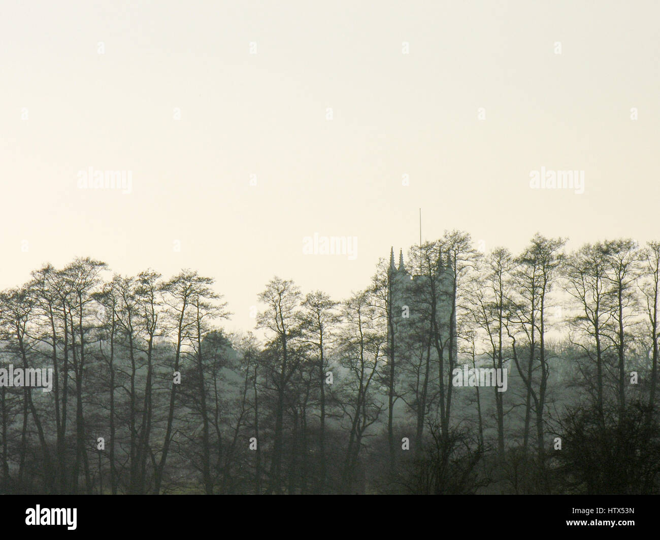 Ein Blick auf Dedham Kirche im Hintergrund hinter Baumwipfeln. Stockfoto