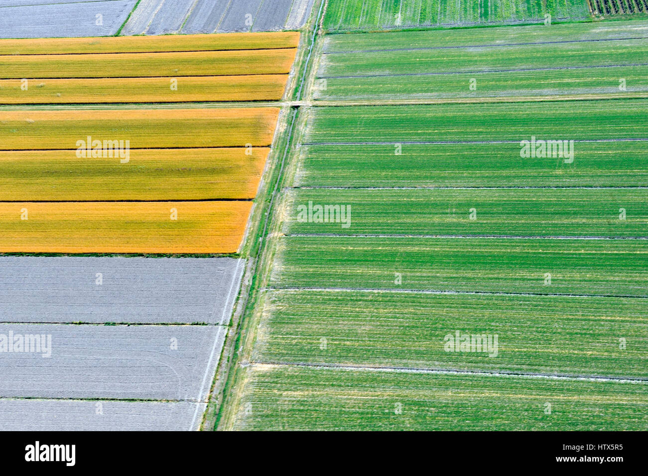 Luftaufnahme der Landschaft zwischen Reggio Emilia und Parma, Ackerland, Landwirtschaft, Emilia Romagna, Italien Stockfoto
