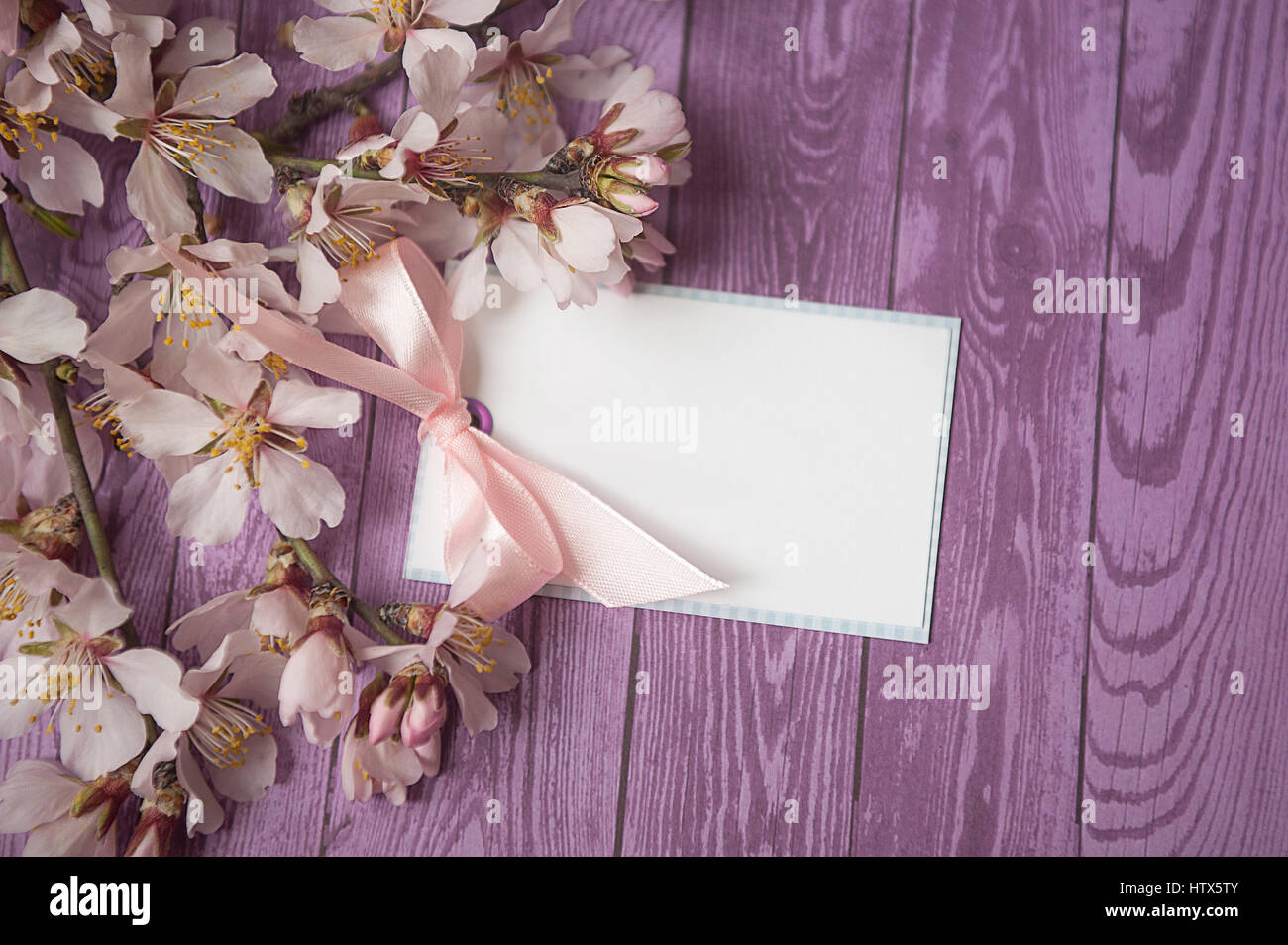 Apfelblüte und leeren Notebook für Text auf hölzernen Hintergrund. Kopieren Sie Raum. Stockfoto