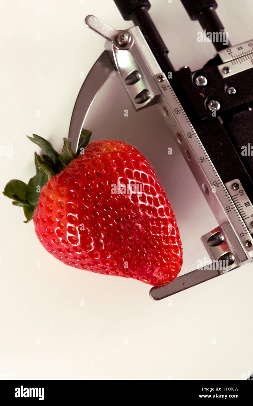 Messung von Erdbeeren Stockfoto