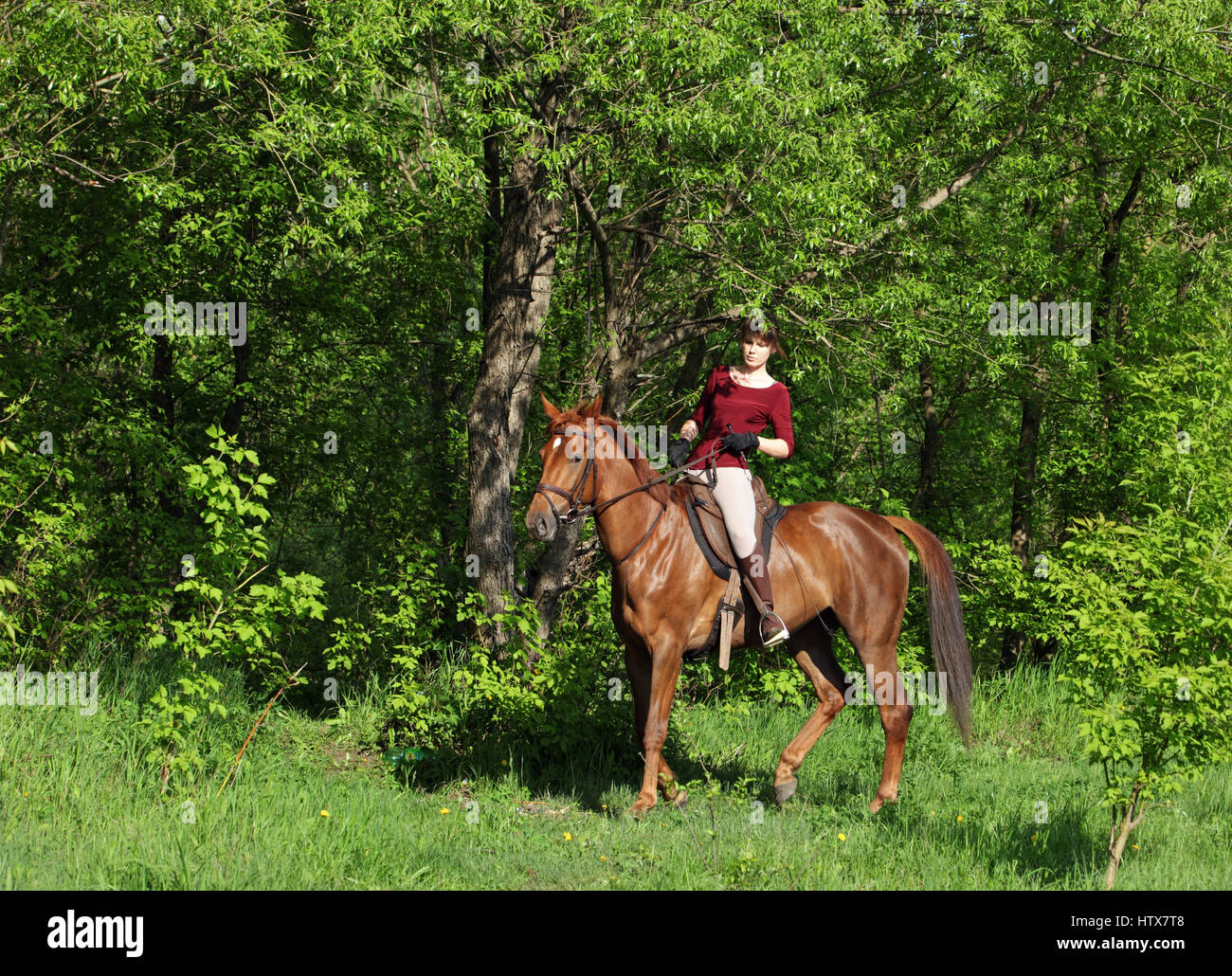 Junge Frau auf einem Pferd Reiten im Wald Stockfoto