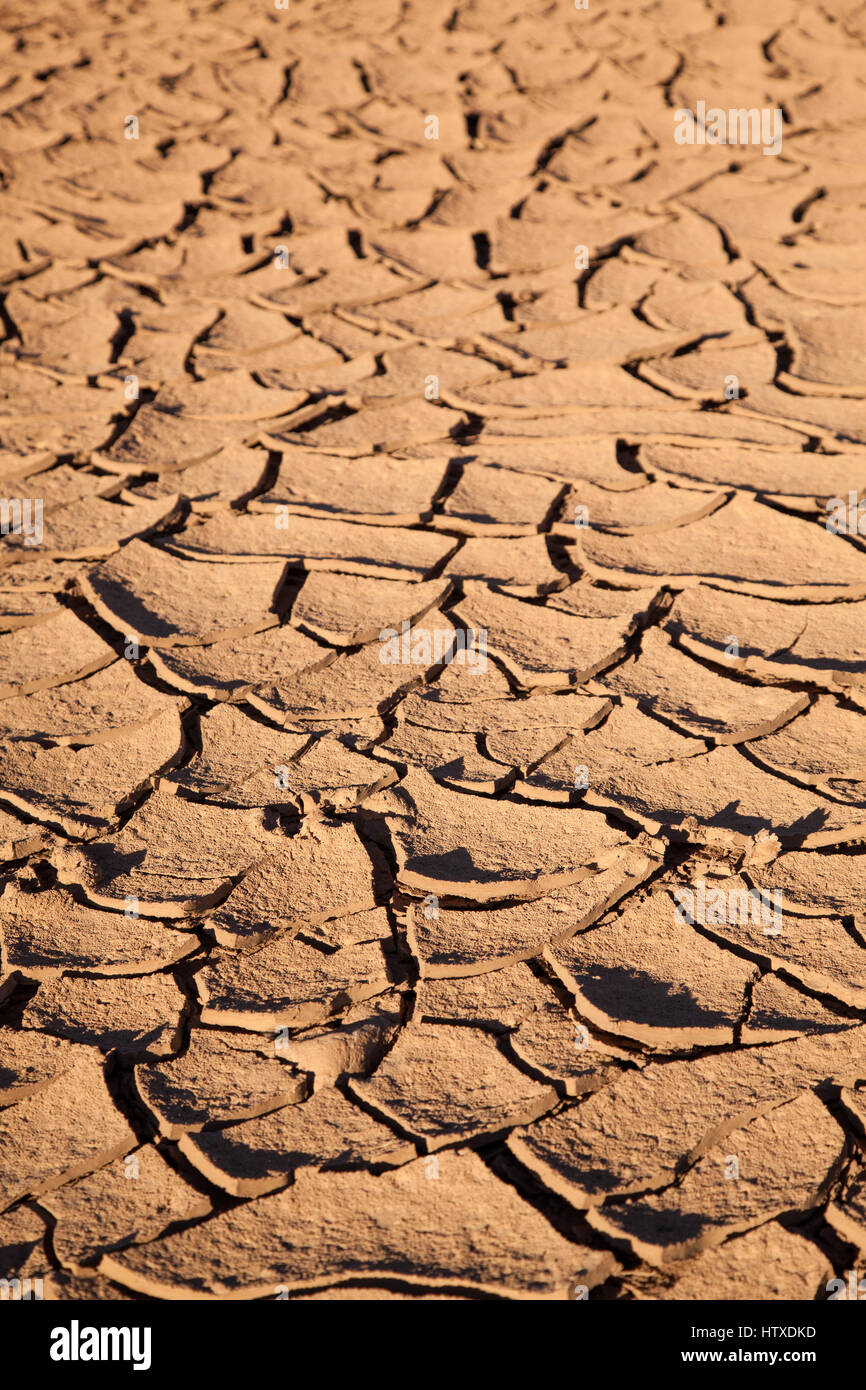 Trockenes Land. braun orange Schmutz Hintergrund geknackt. Abend-Sonnenlicht Stockfoto