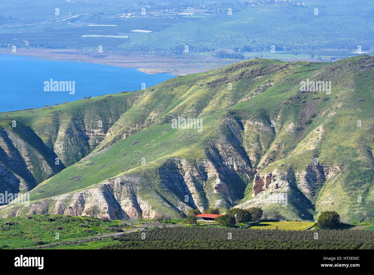 Golanhöhen, östlich des Meeres von Galiläa, Israelfelder Stockfoto