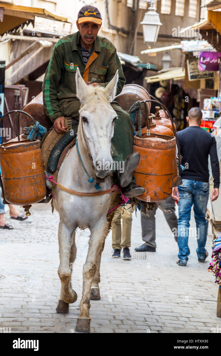 Fes, Marokko.  Straßenszene in der Medina.  Lasttiere benötigt, da Straßen für Kraftfahrzeuge zu schmal sind.  Dieser trägt Flaschengas. Stockfoto