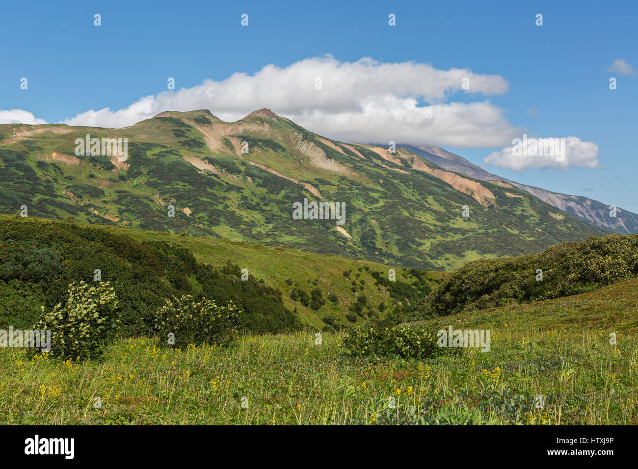 Vilyuchinsky Stratovulkan in den Wolken. Blick vom Brookvalley Spokoyny am Fuße des äußeren nordöstlichen Hang des Caldera Vulkans Goreli. Stockfoto