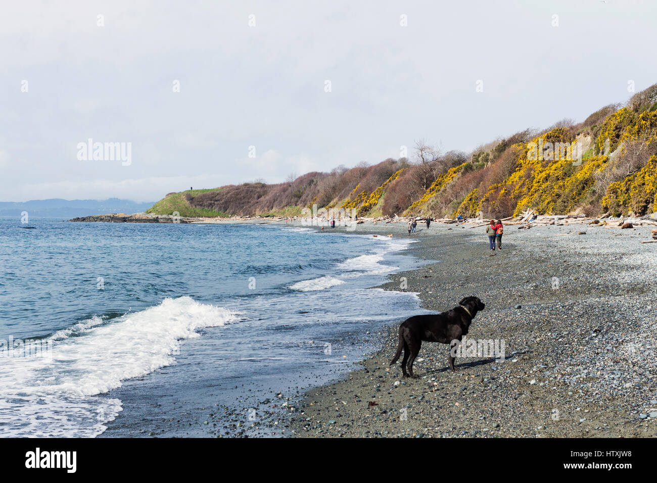 Zwei Frauen Strand entlang spazieren. Victoria, BC. Kanada Stockfoto