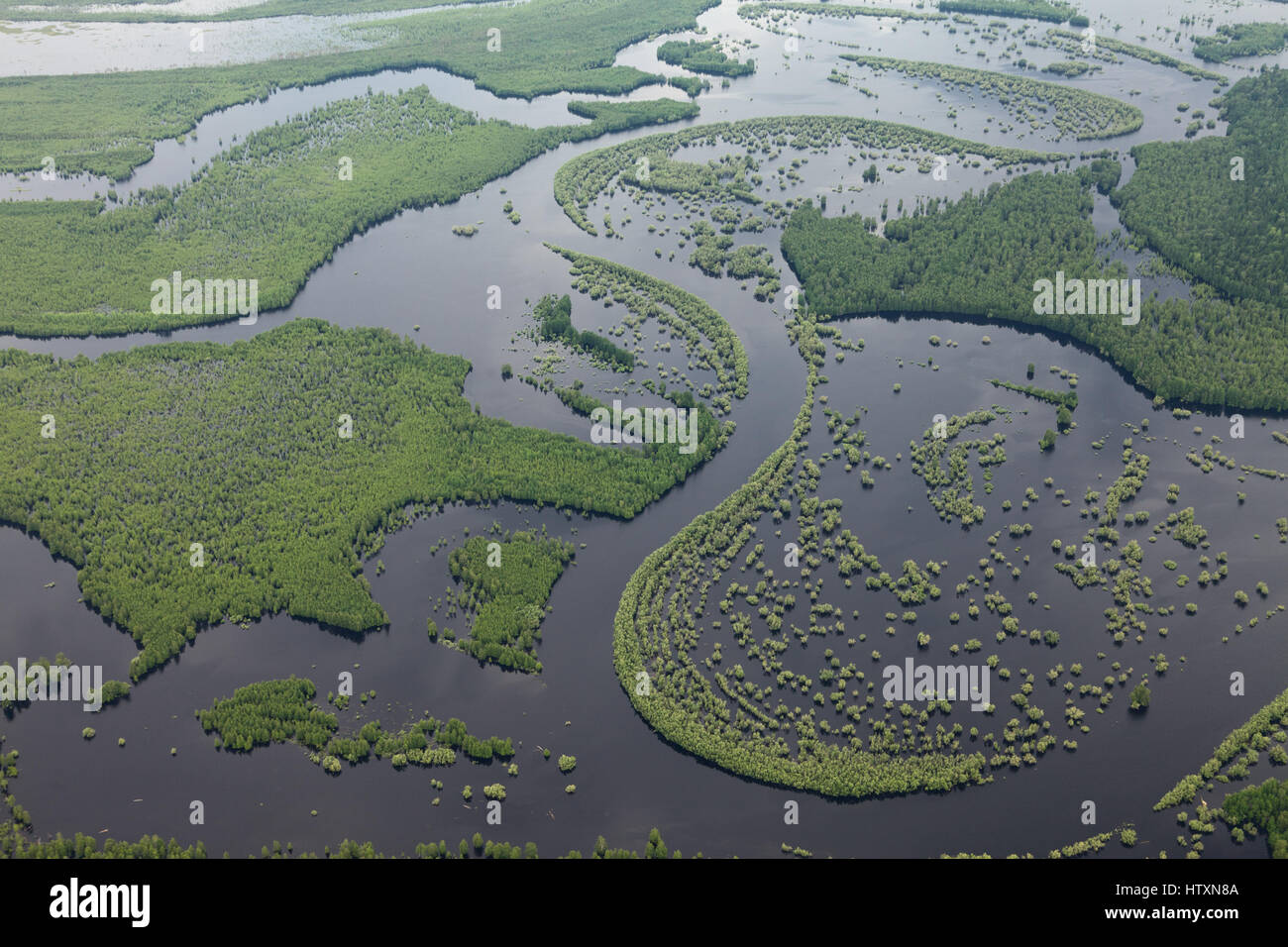 Wald-Fluss bei Hochwasser, Top anzeigen Stockfoto