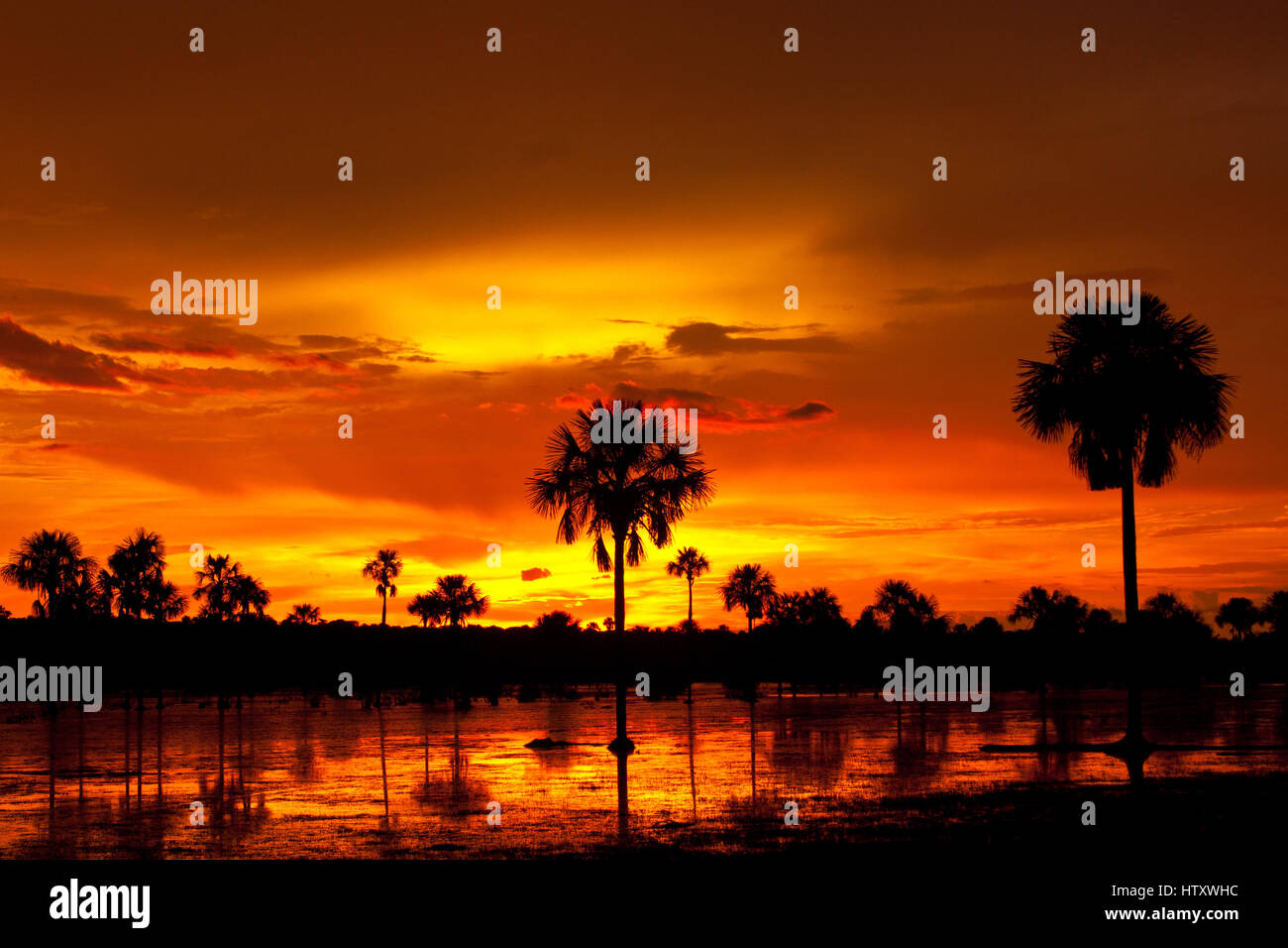 Morgendämmerung in den kolumbianischen östlichen Ebenen. Casanare, Kolumbien. Stockfoto