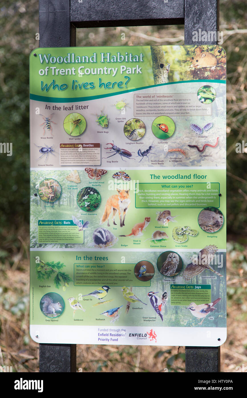 Trent Country Park Wald Lebensraum Wildlife-Info-Tafel. Stockfoto