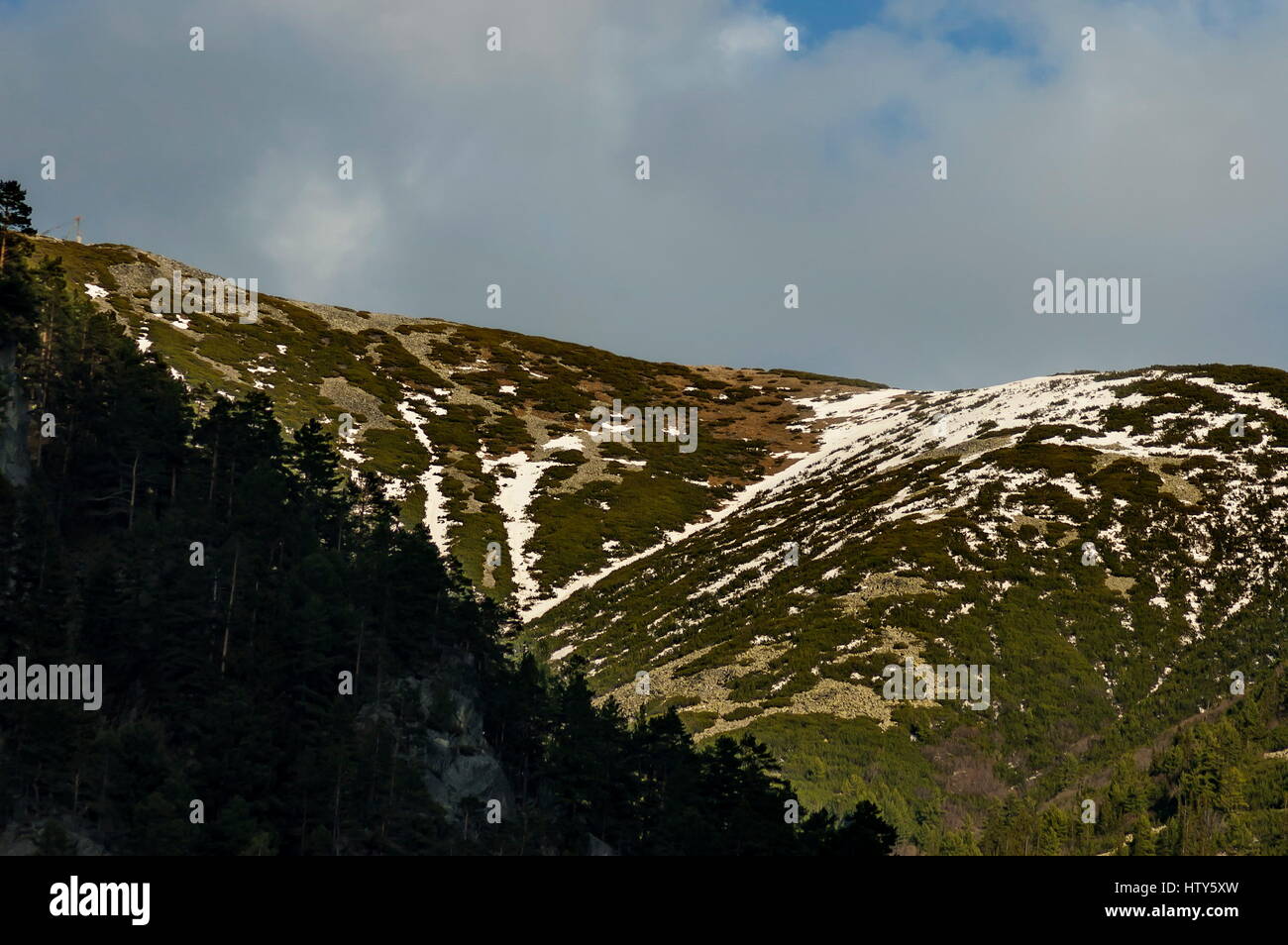 Szene mit Mountain Top und Nadelbäume Wald in der hohen Gipfel des Rila-Gebirge, Bulgarien Stockfoto