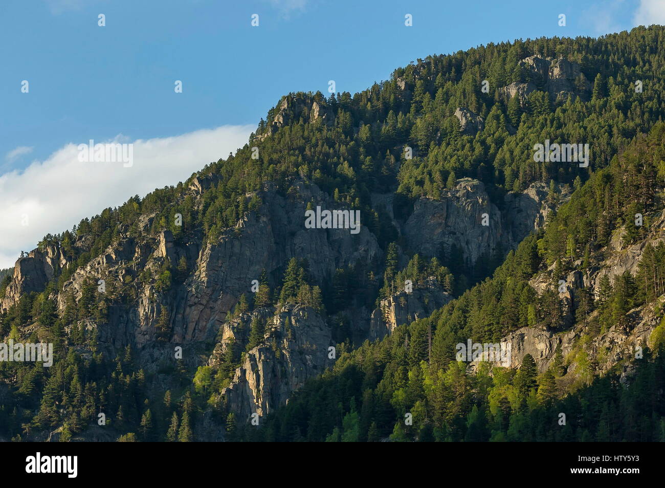 Berggipfel, bewachsen mit hohen Bäumen, Felsen und Lichtung des Rila-Gebirges, Bulgarien Stockfoto