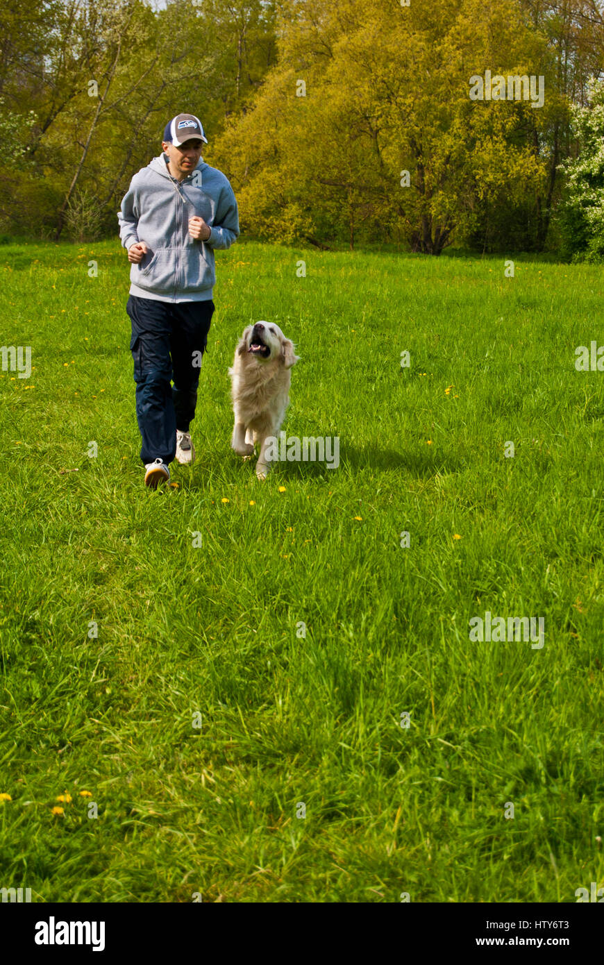Mann läuft mit seinem golden Retriever auf einer Wiese Stockfoto
