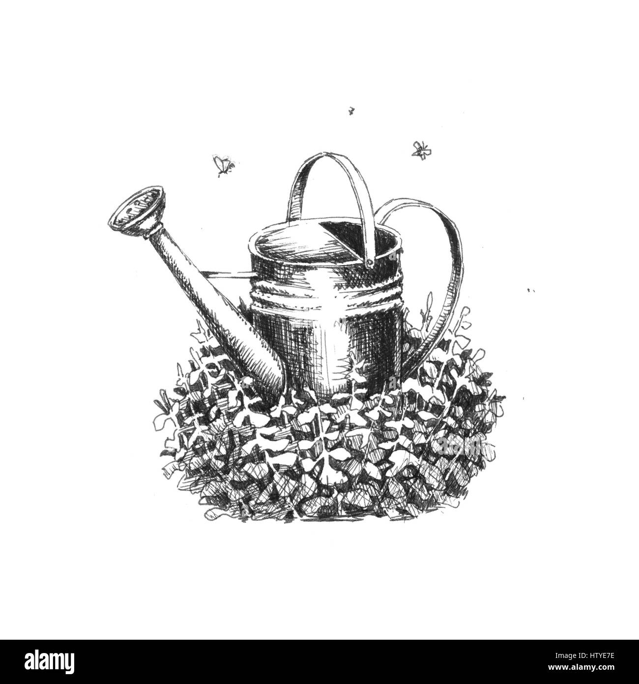 Garten Gießkanne auf dem Rasen. Hand gezeichnete Skizze Stockfoto