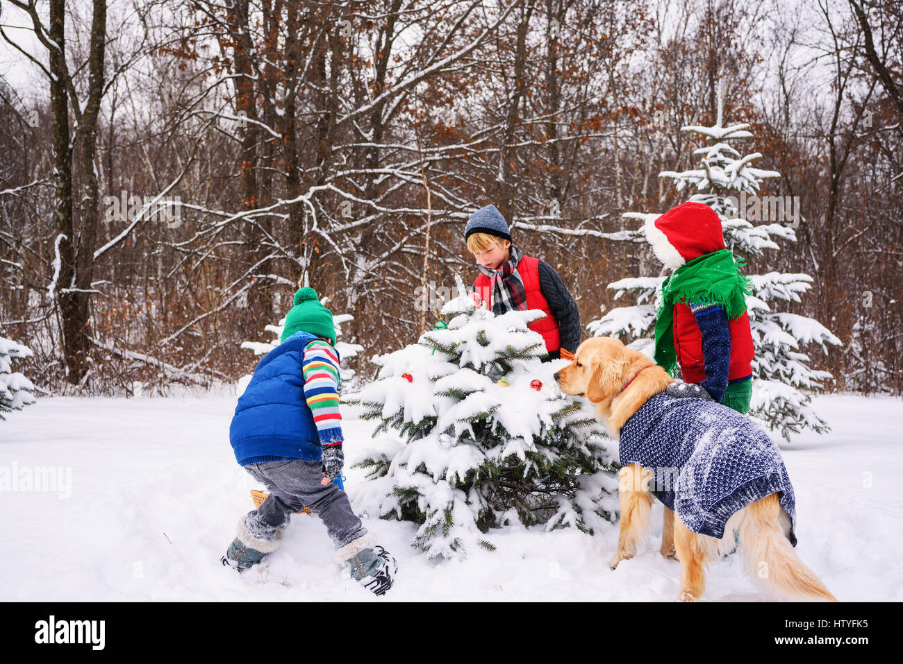 Drei Kinder schmücken Weihnachtsbaum im Garten mit ihren golden Retriever Hund Stockfoto