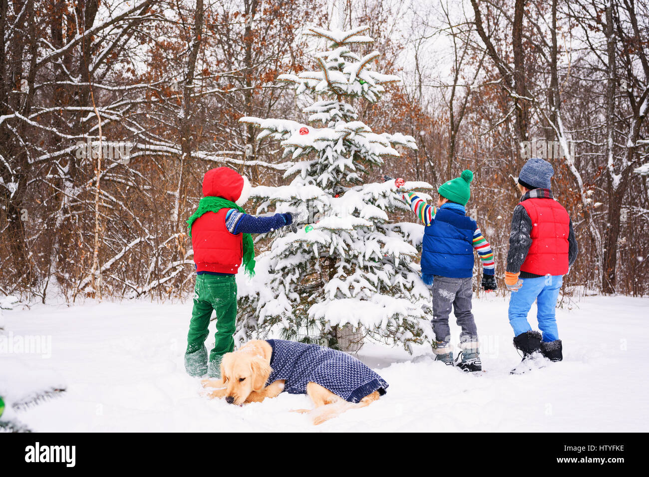 Drei Kinder schmücken Weihnachtsbaum im Garten mit ihren golden Retriever Hund Stockfoto