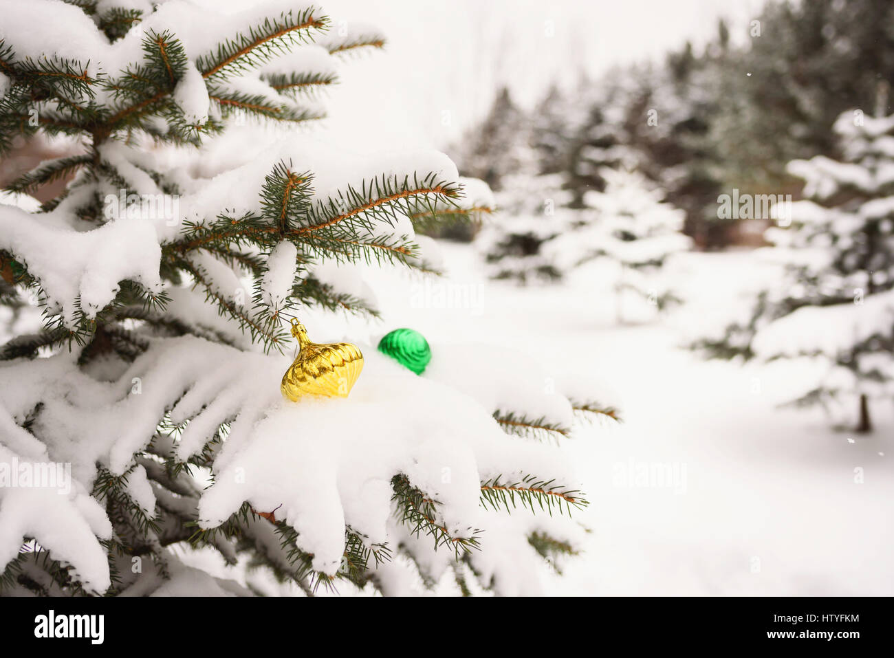 Christbaumschmuck über Schnee bedeckte Tanne im Garten Stockfoto