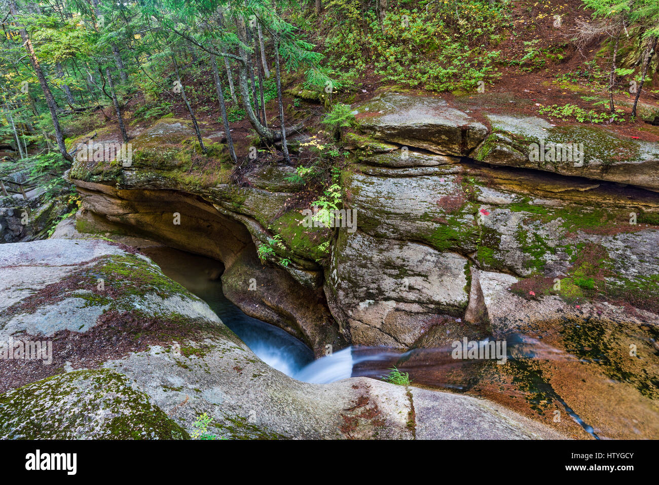 Sabbaday Bach stürzt in eine Schlucht, White Mountain National Forest, Grafton Co., NH Stockfoto