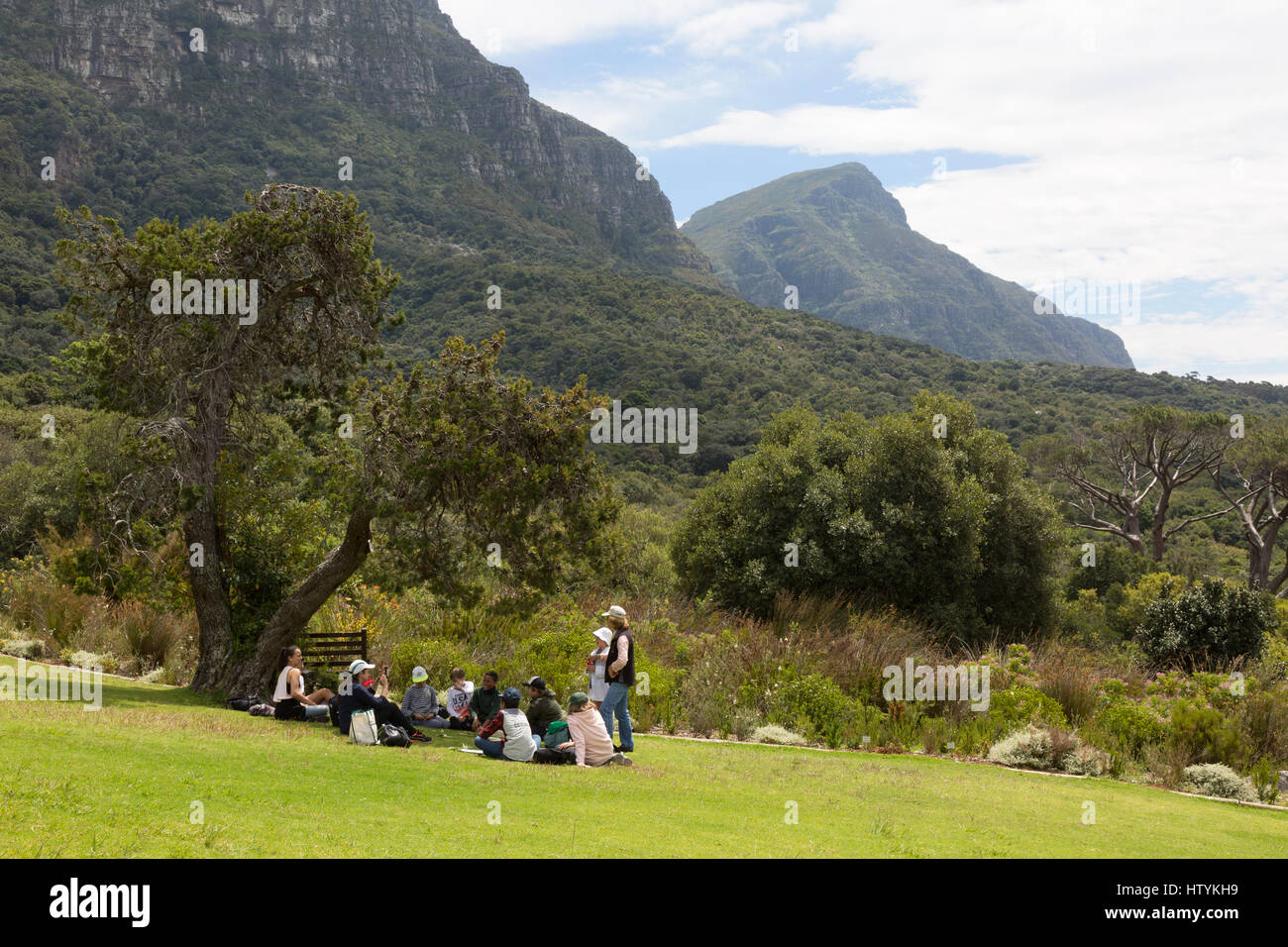 Kirstenbosch National Botanical Garden, Kapstadt, Südafrika Stockfoto