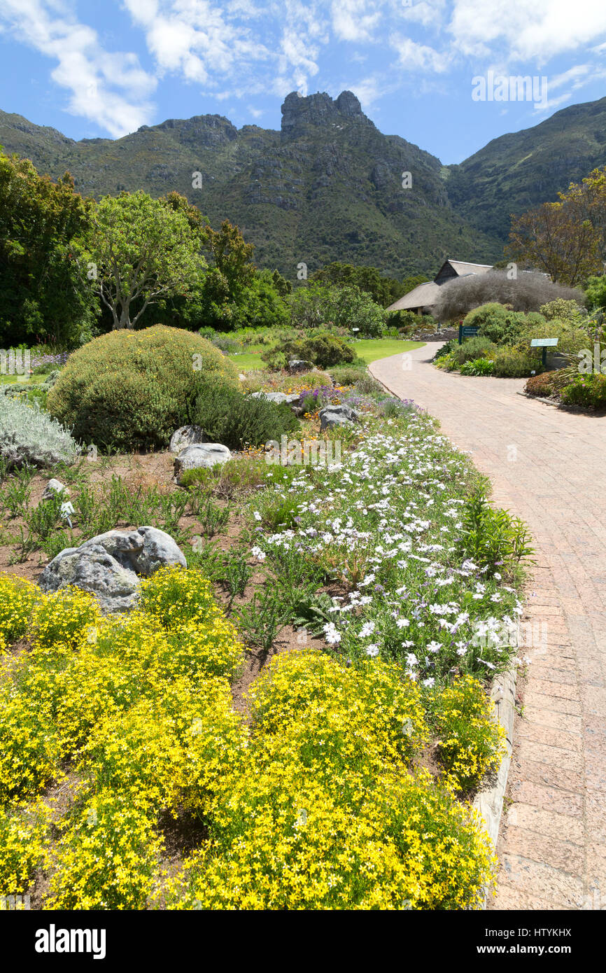 Kirstenbosch National Botanical Gardens, Cape Town, Südafrika Stockfoto