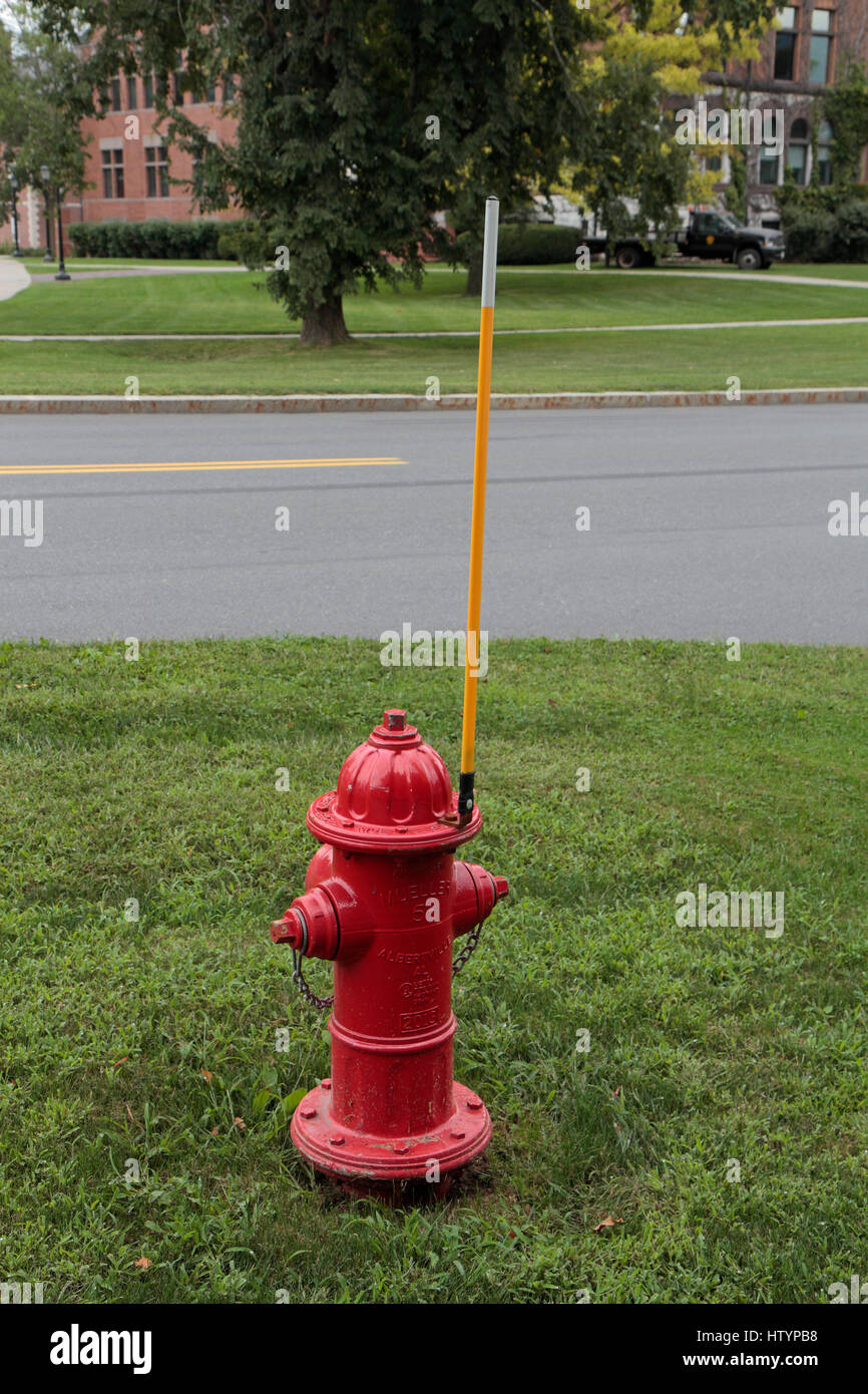 Leuchtend roten Hydranten mit gelben Marker Pole in Williamstown, Berkshire County, Massachusetts, USA. Stockfoto