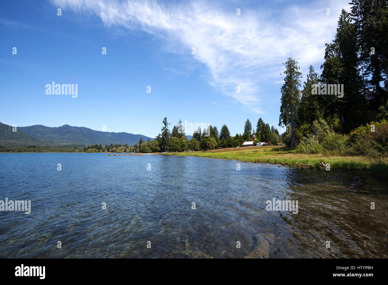 Lake Quinault nahe Quinault, Olympic Halbinsel, Washington, USA Stockfoto