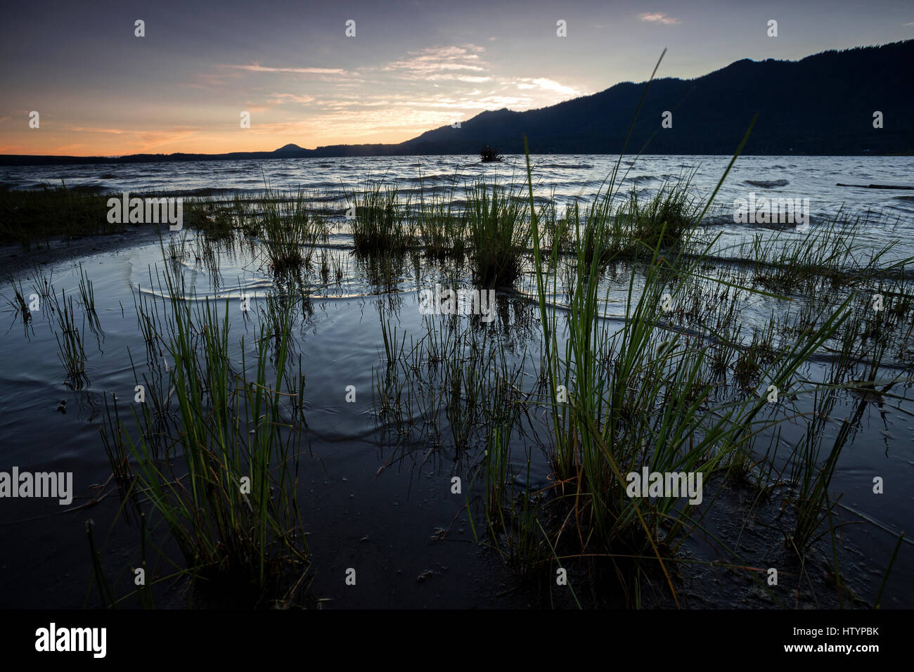 Abendstimmung am Lake Quinault nahe Quinault, Olympic Halbinsel, Washington, USA Stockfoto