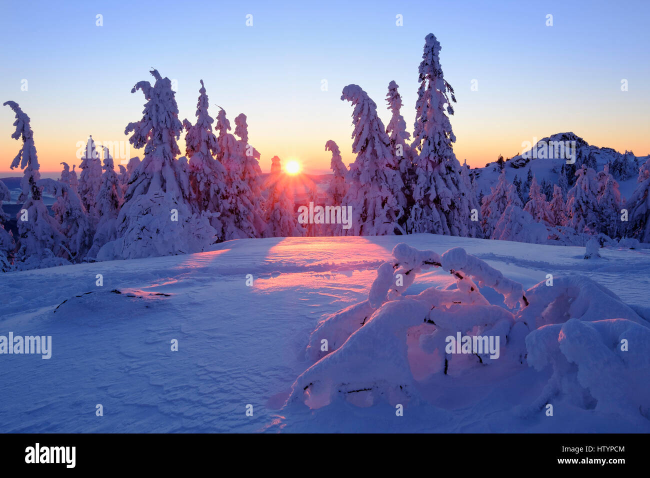 Sonnenuntergang, Arbermandl, schneebedeckten Fichten, Arber, natürliche Erhaltung Bayerischer Wald, untere Bayern, Bayern, Deutschland Stockfoto