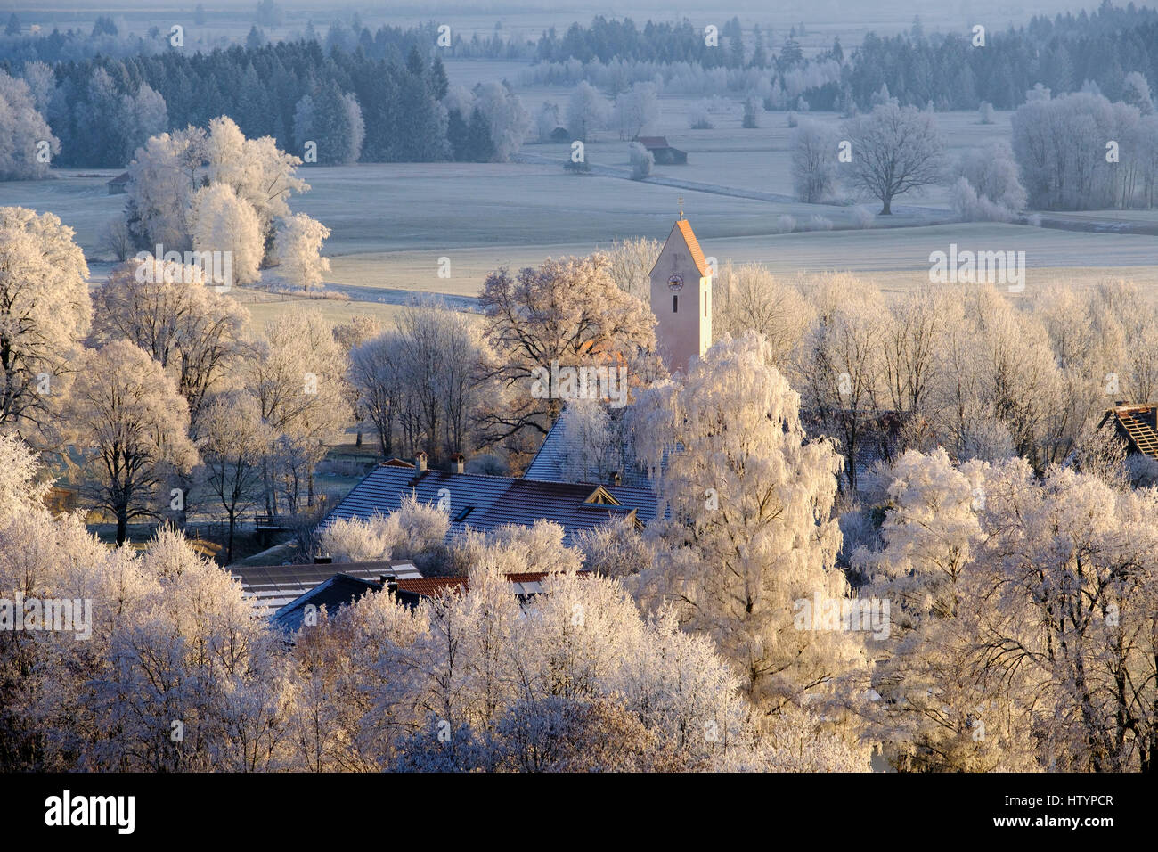 Landschaft, Bäume mit Raureif, Dorf Zelle in Grossweil, Upper Bavaria, Bavaria, Germany Stockfoto